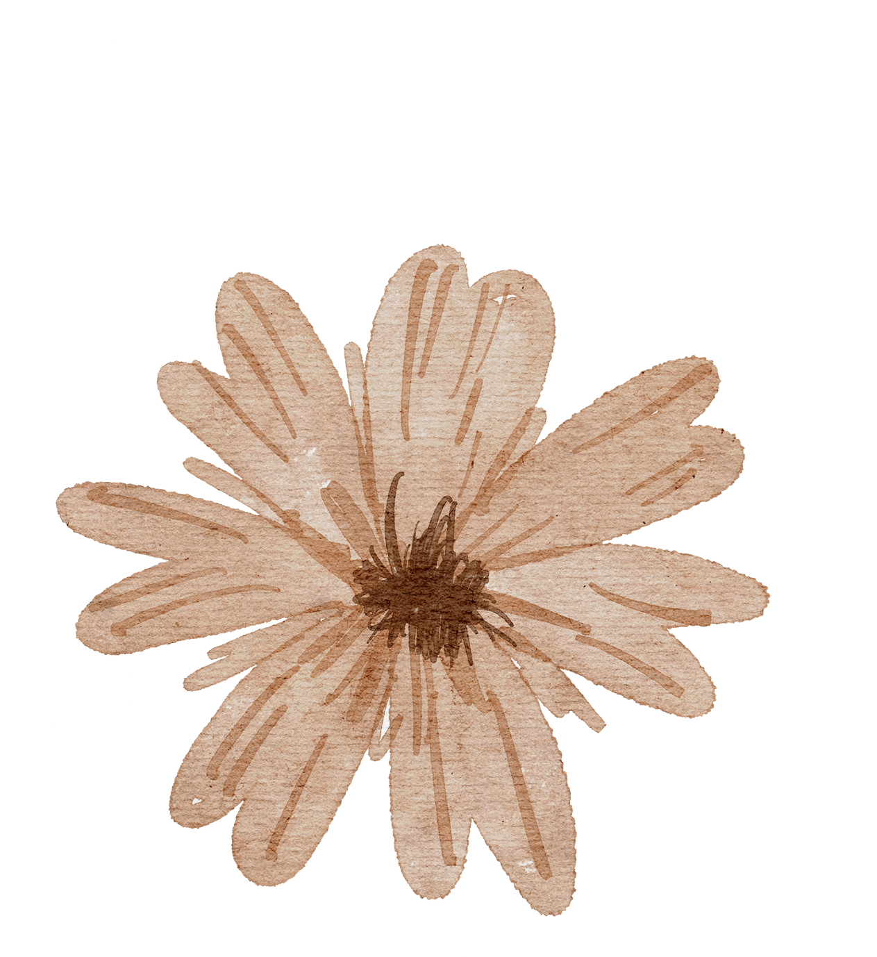 brown watercolor flowers