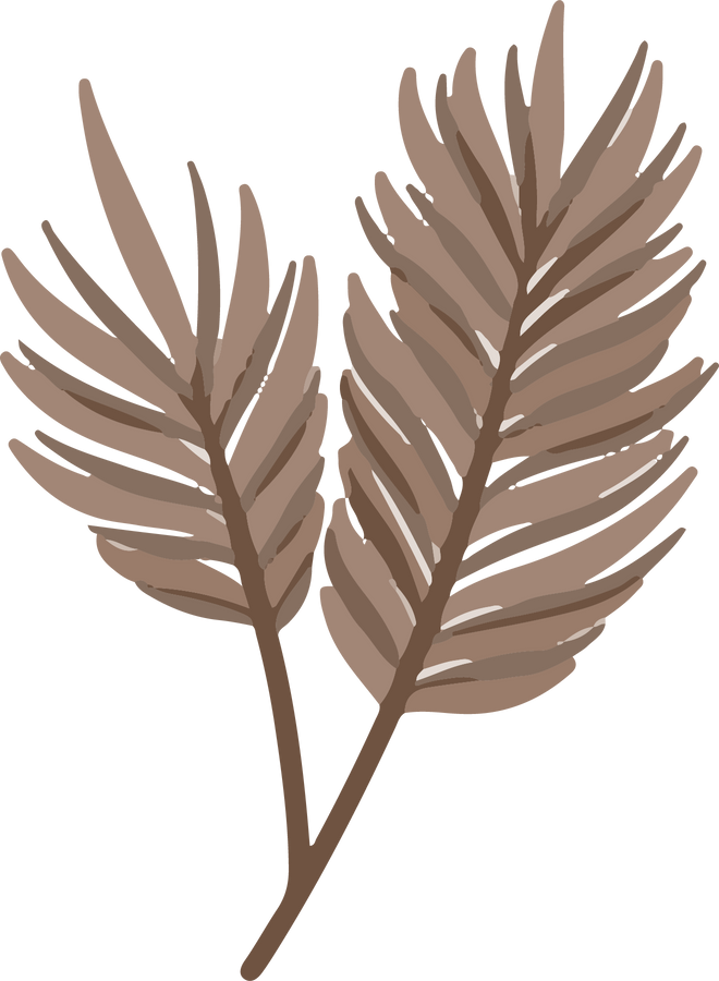 Watercolor Brown Plant